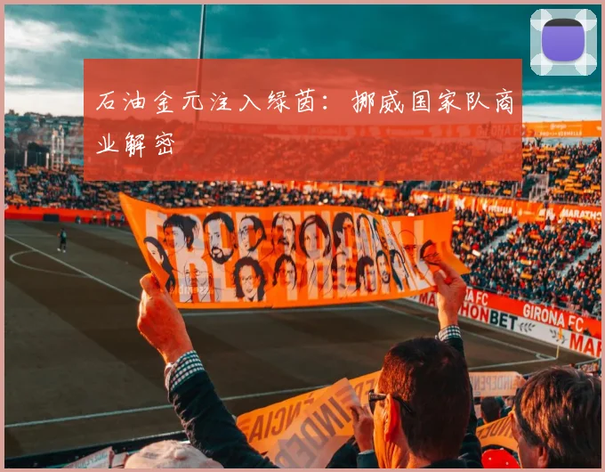 石油金元注入绿茵：挪威国家队商业解密