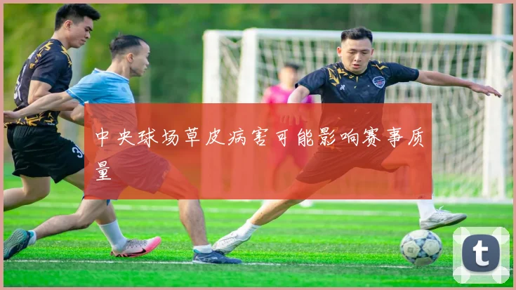 中央球场草皮病害可能影响赛事质量