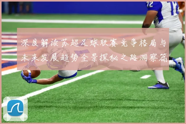 深度解读苏超足球联赛竞争格局与未来发展趋势全景探秘之路洞察篇