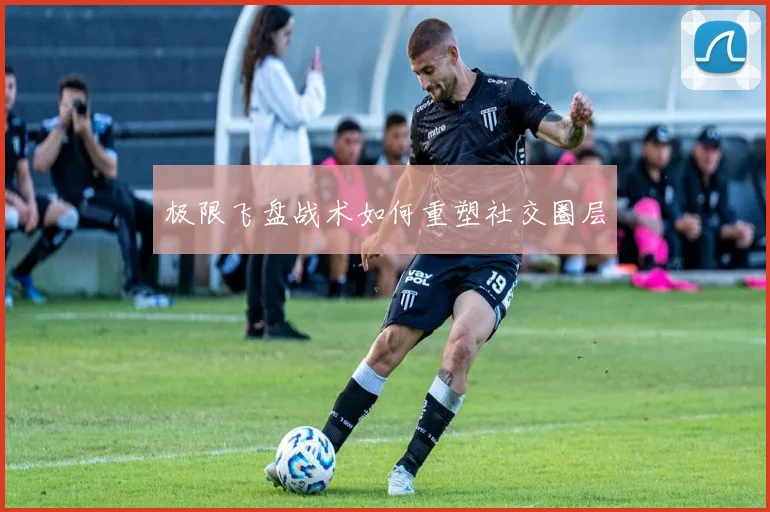 极限飞盘战术如何重塑社交圈层