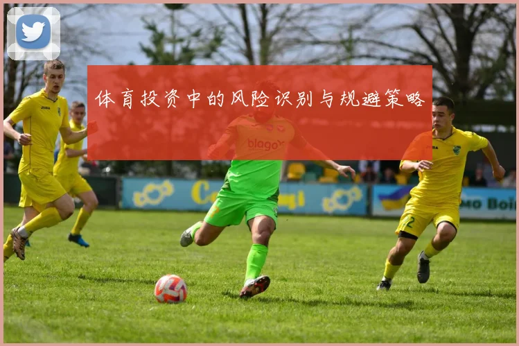 体育投资中的风险识别与规避策略